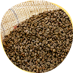 新鮮なコーヒー豆画像